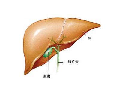 福州中医怎么治晚期的胆管癌