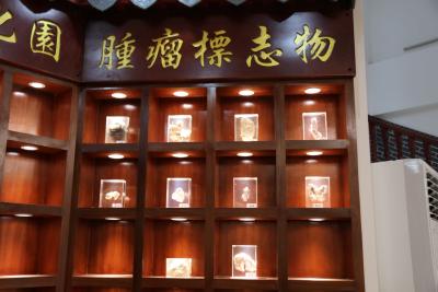 中医解读胰腺癌的消瘦乏力：气血亏虚与癌毒耗损的结果